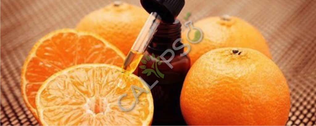 Buy Bitter Orange Natural Essential Oil